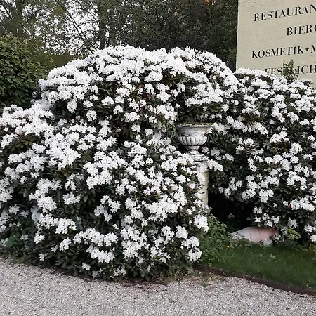 Quellenpark 3*