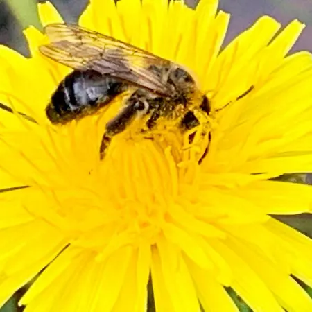 Quellenpark Bad Elster