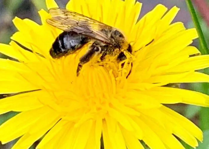 Quellenpark 巴特埃尔斯特