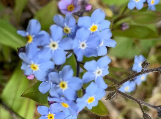 Quellenpark 3* 巴特埃尔斯特